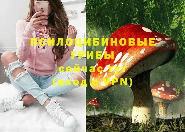 шишки Няндома