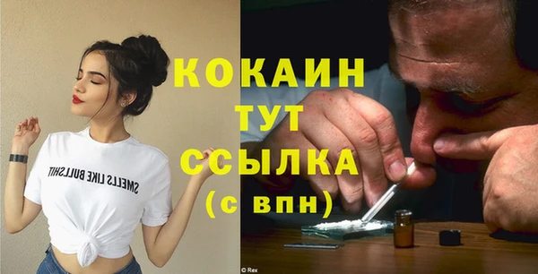 шишки Няндома