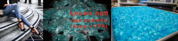 шишки Няндома