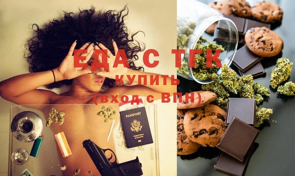 шишки Няндома