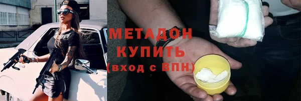 шишки Няндома