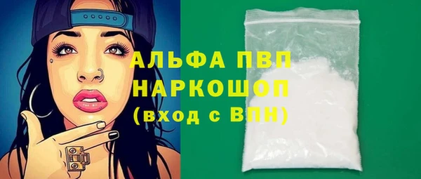 шишки Няндома