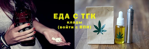 шишки Няндома
