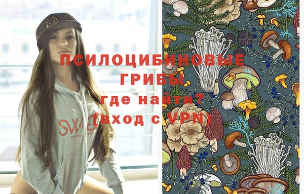 мяу мяу мука Нязепетровск