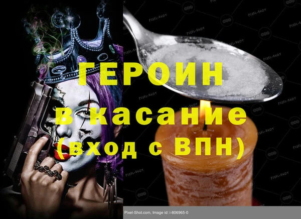 шишки Няндома
