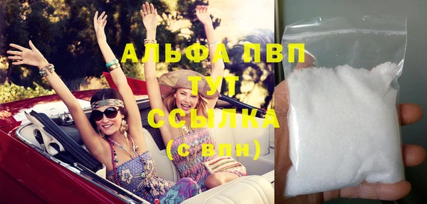 шишки Няндома