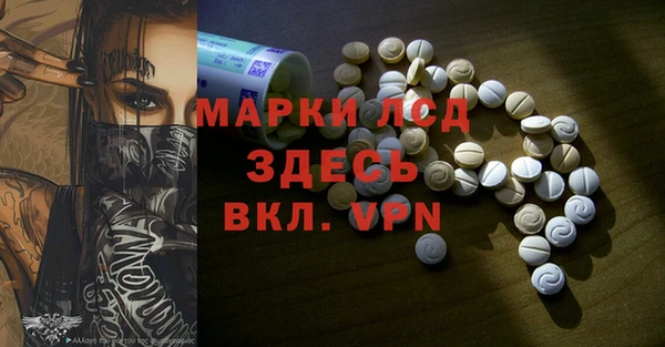 шишки Няндома