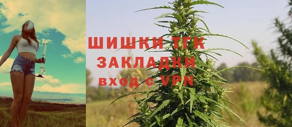 ешки Осинники
