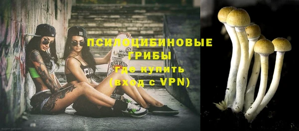 шишки Няндома