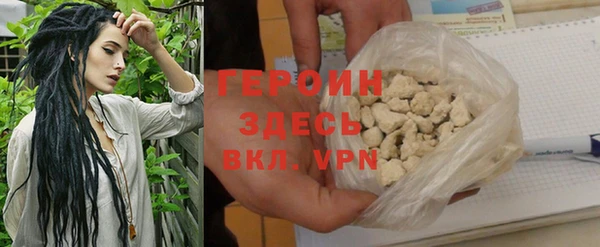 шишки Няндома