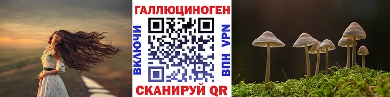Псилоцибиновые грибы мицелий  Нижние Серги 